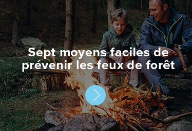 Sept moyens faciles de prévenir les feux de forêt